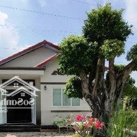 Cho Thuê Homestay Cao Cấp Tại Thị Xã Phú Mỹ Brvt