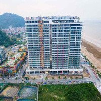 Căn Hộ Chung Cư Tại Biển Flamingo Hải Tiến