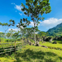 Cần Bán Gấp 5306.4M2 Đất Làm Sinh Thái Nghỉ Dưỡng View Đẹp Tại Kim Bôi Hòa Bình