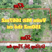 Ngộp Bán Vườn Mít 1666.5M2 Có 150M2 Thổ Cư, Đường Bê Tông Khu Dân Cư Tại Sông Ray, Cẩm Mỹ, Đồng Nai