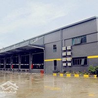 Cho Thuê Kho Xưởng Chuẩn Logistics Tại Thành Phố Bắc Ninh. Diện Tích: 4500M2 - 90000M2