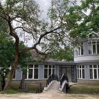 Siêu Phẩm Villa Yên Bài Vành Đai Cnc Hòa Lạc Kinh Doanh Siêu Lợi Nhuận. Giá Rẻ Sát Đất