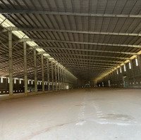 Cho Thuê Kho 17.000M2 Kcn Hoà Phú Bmt