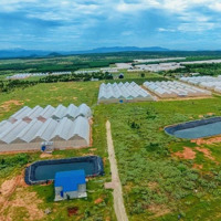 Tôi Chính Chủ Bán Gấp Lô 7100M2 Sát Đường Liên Huyện Đi Sân Bay