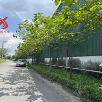 Bán nhà xưởng đất skc có bình điện Tân An Vĩnh Cửu Đồng Nai X246