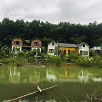 Chính Chủ Bán Homestay Xã Hữu Liên, Huyện Hữu Lũng, Tỉnh Lạng Sơn, 5000M2 (400M Thổ Cư), Có Sổ