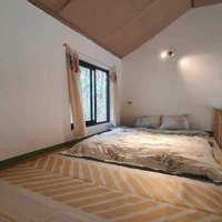 Chính Chủ Bán Homestay Xã Hữu Liên, Huyện Hữu Lũng, Tỉnh Lạng Sơn, 5000M2 (400M Thổ Cư), Có Sổ