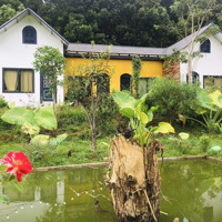 Chính Chủ Bán Homestay Xã Hữu Liên, Huyện Hữu Lũng, Tỉnh Lạng Sơn, 5000M2 (400M Thổ Cư), Có Sổ