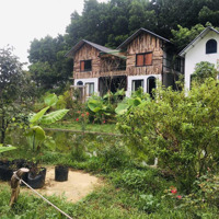 Chính Chủ Bán Homestay Xã Hữu Liên, Huyện Hữu Lũng, Tỉnh Lạng Sơn, 5000M2 (400M Thổ Cư), Có Sổ