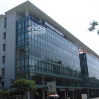 Cđt Cho Thuê Văn Phòng Chuyên Nghiệp Toserco Building 273 Kim Mã, Ba Đình. Trợ Giá Năm Đầu