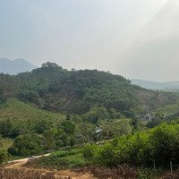 Cần Bán 1,6Ha (16.000M2) Đất Rừng Sản Xuất Tại Khánh Thượng, Ba Vì, Hà Nội