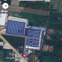 Cần Bán Đất Mặt Tiền Đường Tỉnh Lộ 877, Xã Bình Ninh, Huyện Chợ Gạo, Tỉnh Tiền Giang 2.550M2
