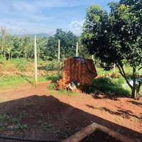 Lô Đất Bìa Riêng 500M2 Thôn 6 Xã Cư Êbur, Tp.buôn Ma Thuột