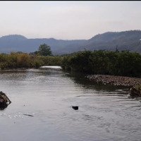 Ngộp Ngân Hàng Bán Giá Rẻ Chỉ 200 Triệu / 1000M2, Có Sông Suối, Cây Ăn Trái Sẵn