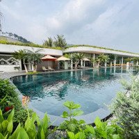 Chính Chủ Bán Villa 3 Phòng Ngủ5* Flamingo Venus Có Bể Bơi Nước Ấm, Xông Hơi