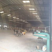 Cần Cho Thuê Xưởng Dầu Tiếng Bình Dương. Tdt 30.000M2, Dtx 5.500M2, Dtx 10.000M2