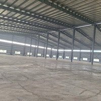 Cần Cho Thuê Kho Xưởng Kcn Tây Ninh. Tdt 2Hec., 20000M2, Dtx 8000M2