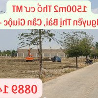 Bán Nhanh 1500M2 Thổ Cưmặt Tiềnđường Nguyễn Thị Bài, Cần Giuộc , Giá Rẻ Cực