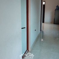 Cho Thuê Nhà Riêng 263 M2, Mặt Tiền 6 Mét, Có Sân Vườn Rộng Rãi