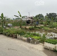 Chính Chủ Bán Lô Đất Đẹp 480M2 Tại Trần Phú, Thường Tín, Liên Hệ: 0915897799