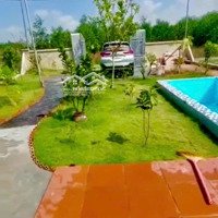 Cần Bán Nhà Vườn 500M2 Có Sẵn Hồ Bơi Đ.xe Hơi Tới Đất Tại Xã V.thanh