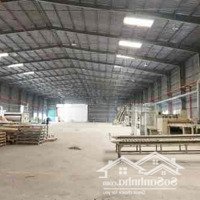 Bán Nhà Xưởng 4.479M2 Tại Ấp Bình Tiền