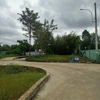 Ông Anh Của Em Cần Bán Gấp Nhà Máy 6000M2