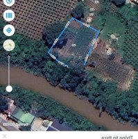 Chính Chủ Bán Đất Giáp Sông Phan-Dường Dt712-Tân Thuận-Hàm Thuận Nam