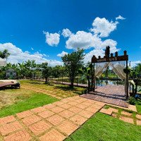 Nhà Vườn Nghỉ Dưỡng, Kinh Doanh Homestay Tuyệt Đẹp Tại Tp Bmt 3.000M2
Chỉ Có 6Ty680