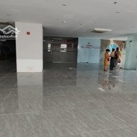 Cho Thuê Văn Phòng Quận 11, Tuyền Chính Lạc Long Quân, 288M2 Giá 90 Triệu/Th