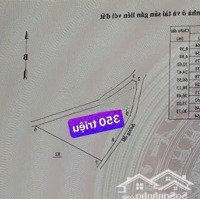 Cắt Lỗ Nữa Giá Chỉ 350 Triệu/Gần 5000M2 Đất Mặt Tiền Đường Liên Huyện