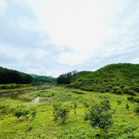 Bán Đất View Hồ Thum, Thích Hợp Làm Farm, Homestay Hay Camping