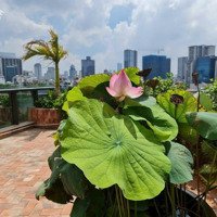 Mời Cafe Rooftop - Phòng Trà Mặt Bằng Cực Đẹp Trọn View Hồ Hoàng Cầu 105M Giá 25 Triệu