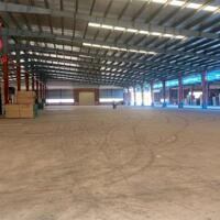 Cho thuê xưởng gỗ 5400m2 trong KCN Long Bình, Tp Biên Hoà, Đồng Nai
