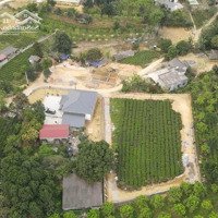 Bán Lô Đất Rẻ Nhất Tại Cao Dương Lương Sơn.diện Tích1718M/Tc 200M - Giá Chỉ 2.3 Tỷ