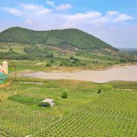 Chủ bán 1,6ha đất bám mặt hồ, đất siêu đẹp đầu tư, Giá rẻ bất ngờ Lagi Bình Thuận