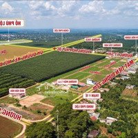 Chủ Gửi Ra Gấp 2 Lô Đất Nền Thổ Cư Tại Phú Lộc – Krông Năng – Đắk Lắk