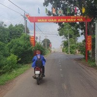 Bán 1000M2 Đất Vườn Cây Lâu Năm Tp Long Khánh Đồng Nai
