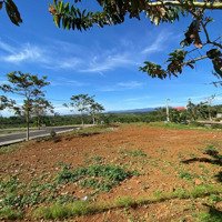 Windy Hill - Nghỉ Dưỡng An Lành, Đón Đầu Xu Hướng