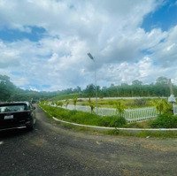 Farm Nông Trại Eakao Giá Rẻ Bất Ngờ Đẹp Như Tranh Thủy Mặc Tại Bmt
