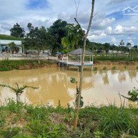 Farm Nông Trại Eakao Giá Rẻ Bất Ngờ Đẹp Như Tranh Thủy Mặc Tại Bmt