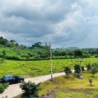 Farm Nông Trại Eakao Giá Rẻ Bất Ngờ Đẹp Như Tranh Thủy Mặc Tại Bmt