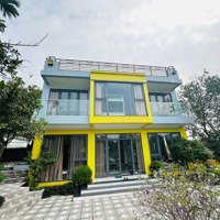 Bán Lô Homestay Sẵn Kinh Doanh Xây Dựng Đầy Đủ Giá 5 Triệu/M2 Liên Hệ: 0981288566