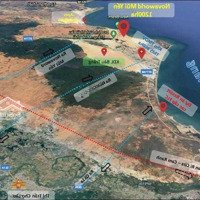 Đất Biển Bình Thuận 2.000M2 Giá Chỉ 1 Tỷ Bao Công Chứng Sang Tên - Quy Hoạch Đất Thương Mại Dịch Vụ