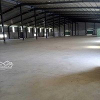 Cho Thuê 2 Kho Xưởng Lương Hòa, Dt: 1.600M2 - 3.000M2, Bến Lức, Long An