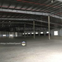 Cho Thuê Kho Xưởng 1.250M2, 2200M2, 3.186M2, 5.200M2 Trong Cụm Kho Bãi, Nhà Xưởng 3.5Ha Tại Gò Vấp