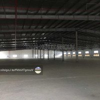 Cho Thuê Kho Xưởng 1.250M2, 2200M2, 3.186M2, 5.200M2 Trong Cụm Kho Bãi, Nhà Xưởng 3.5Ha Tại Gò Vấp