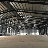 Cho Thuê Kho Xưởng 1.250M2, 2200M2, 3.186M2, 5.200M2 Trong Cụm Kho Bãi, Nhà Xưởng 3.5Ha Tại Gò Vấp