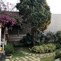 Bán biệt thự hẻm Lữ Gia với sân vườn siêu đẹp, p9, tp Đà Lạt