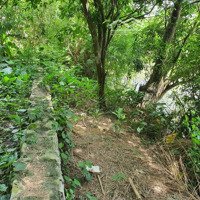 Bán Đất (Ở Và Vườn Cây) Giáp Sông - Có Thể Làm Khu Dịch Vụ Du Lịch Hoặc Cho Thuê Nghỉ Dưỡng